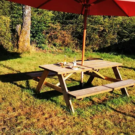 Le Petit Ideal * Leykaul