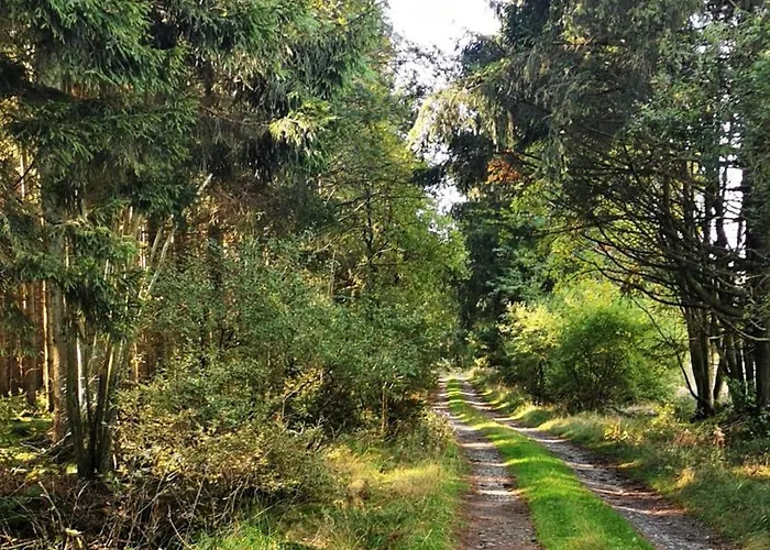 Le Petit Idéal Leykaul